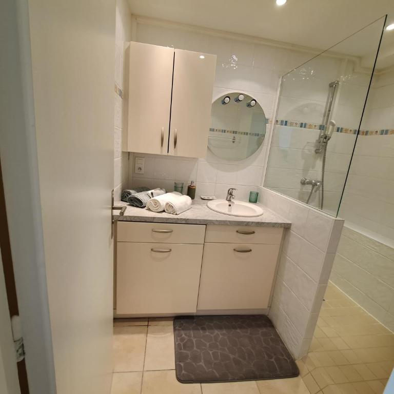 Le Duc de Savoie Thonon - Appartement 1 Chambre - 42