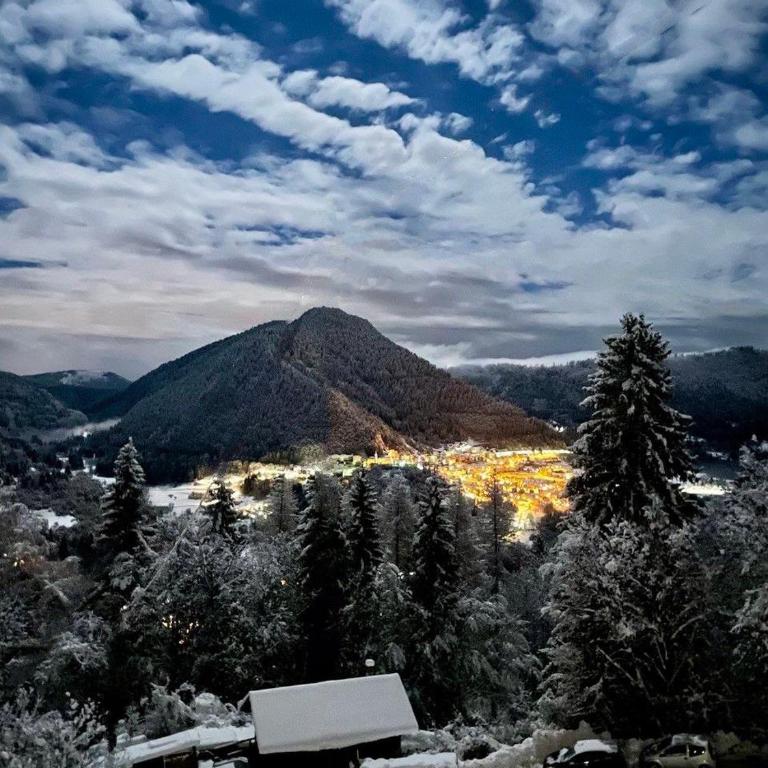 Panoramic Stay with Free Parking & Ski Slopes - Ferienhaus - 19