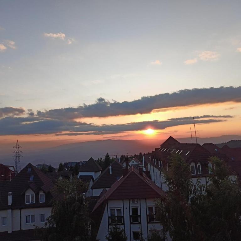 PETRA Apartman Kopaonik - Apartman sa 1 Spavaćom Sobom - 3