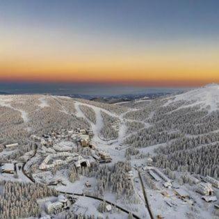 PETRA Apartman Kopaonik - Apartman sa 1 Spavaćom Sobom - 30