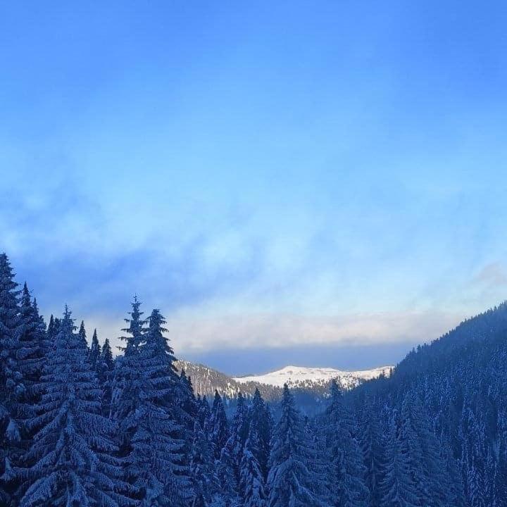 PETRA Apartman Kopaonik - Apartman sa 1 Spavaćom Sobom - 32