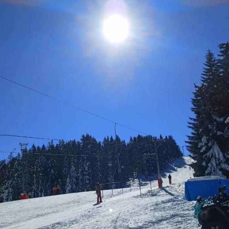 PETRA Apartman Kopaonik - Apartman sa 1 Spavaćom Sobom - 34