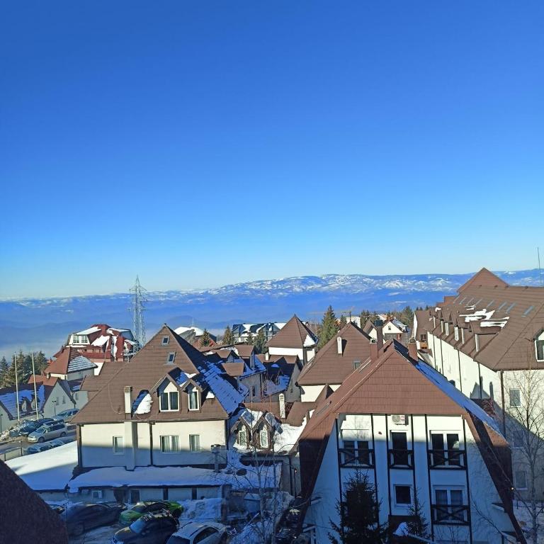 PETRA Apartman Kopaonik - Apartman sa 1 Spavaćom Sobom - 6