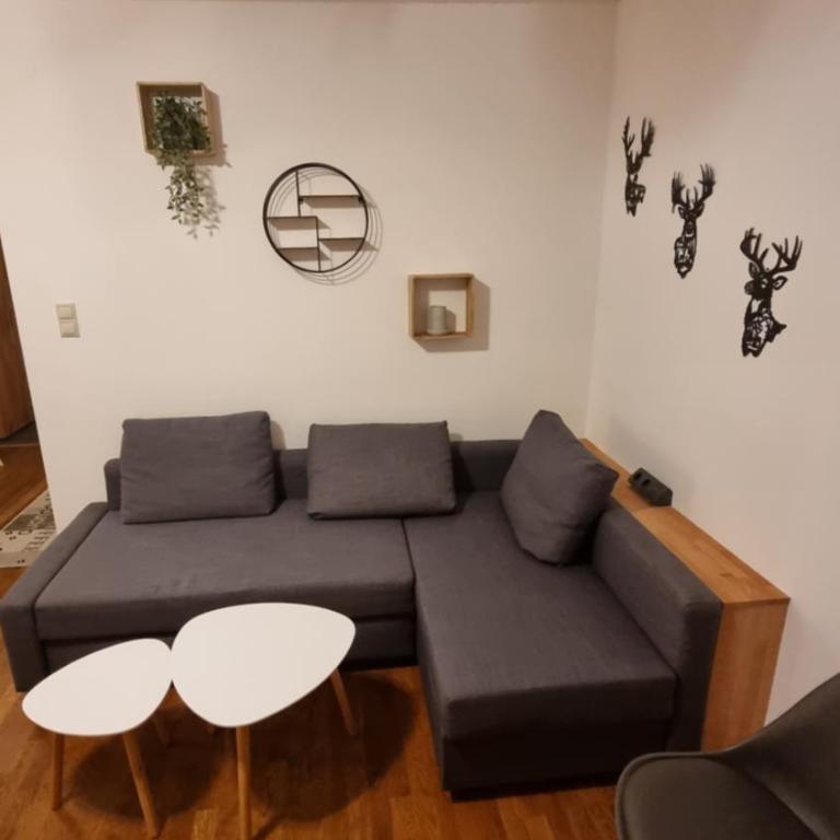 Schladming Planai View Top 12 - Apartment mit 2 Schlafzimmern - 4