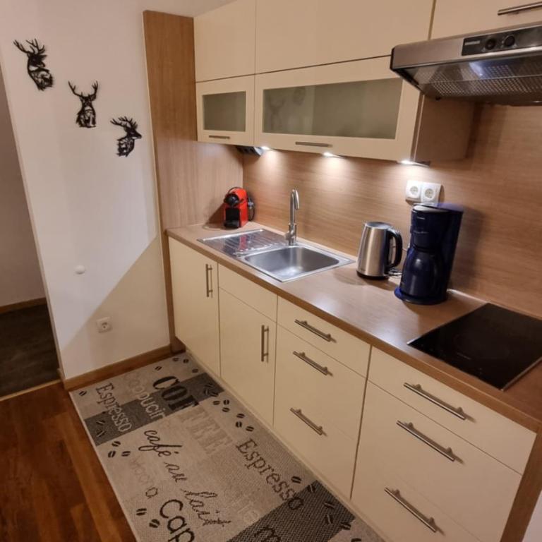 Schladming Planai View Top 12 - Apartment mit 2 Schlafzimmern - 10