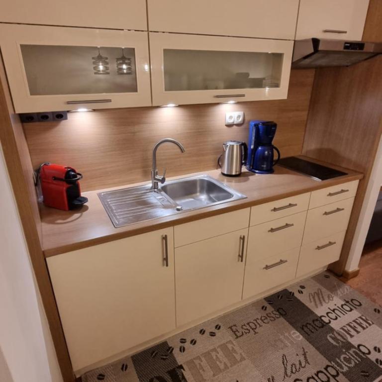Schladming Planai View Top 12 - Apartment mit 2 Schlafzimmern - 14