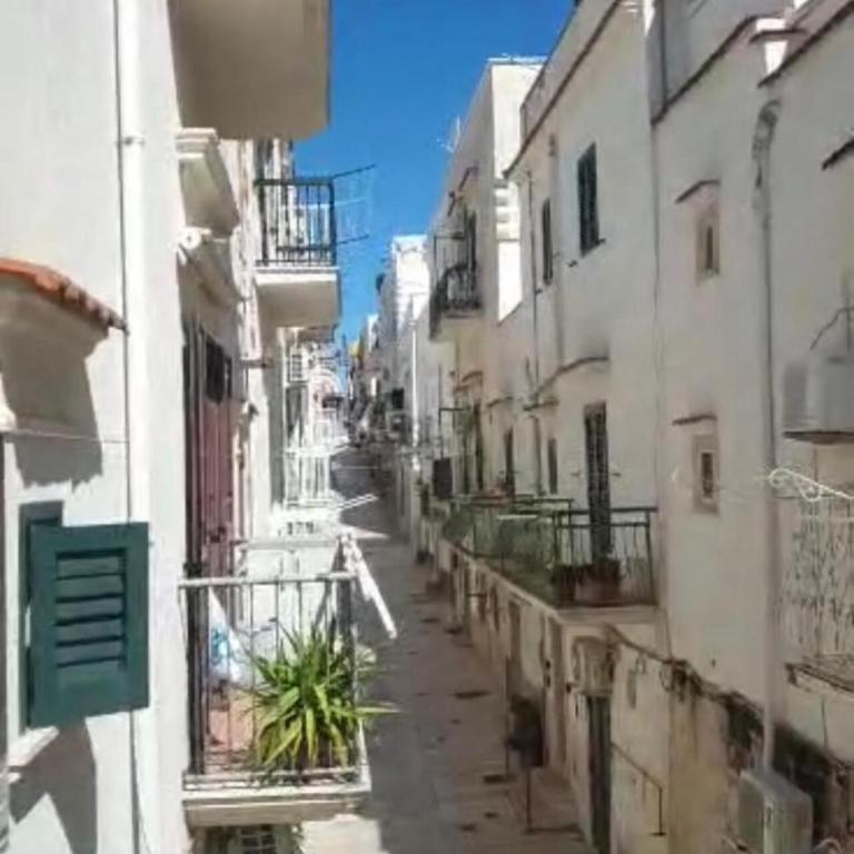 APARTAMENT CHIARA - accanto alle scale dell amore - Julia Vieste - One-Bedroom Apartment - 10