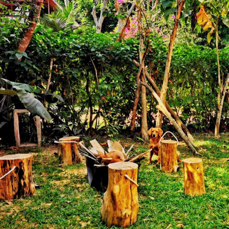 La casa del Erizo - Three-Bedroom Chalet - 22