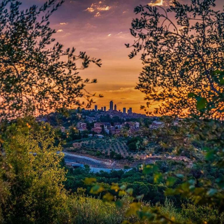 B&B La Fornace Di Racciano - Camera Deluxe Matrimoniale/Doppia con Letti Singoli con Vista Città - 2