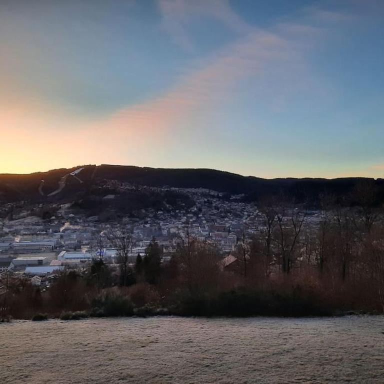 Appartement résidence Les Dryades avec vue montagne - Appartement 2 Chambres - 17