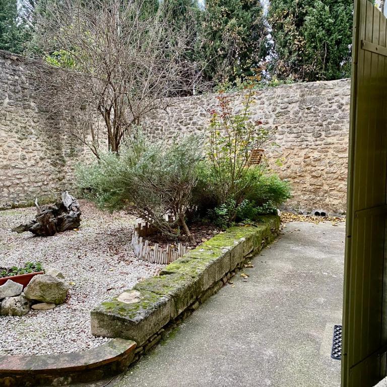 Grand studio sur jardin en centre-ville - Studio avec Vue sur Jardin - 7