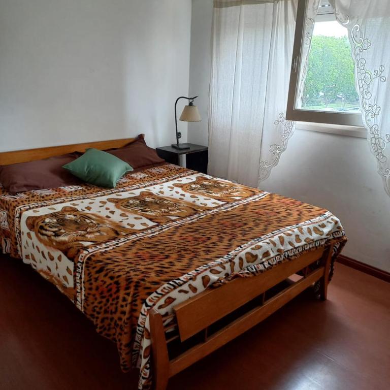 Amplio dpto en macrocentro - Apartamento de 1 dormitorio - 7