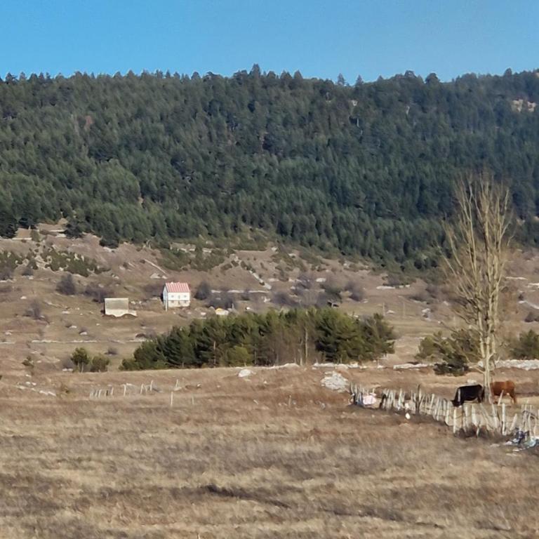 Cozy Home Small bear - Two-Bedroom House - 36