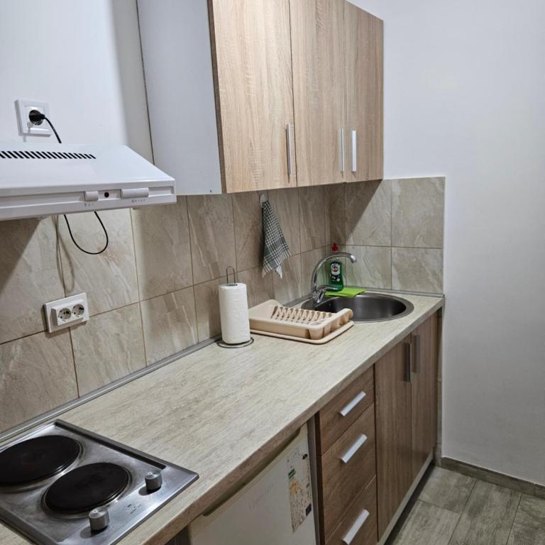 Apartmani Račeta - Double Room with Balcony - 15
