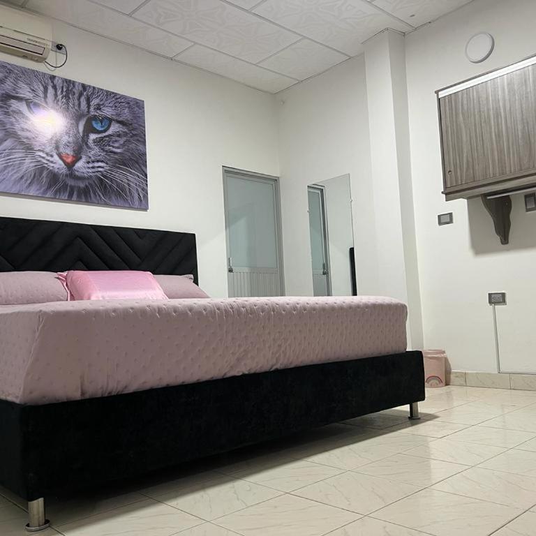 COOL HOUSE 24Horas - Suite Deluxe con cama extragrande - 2