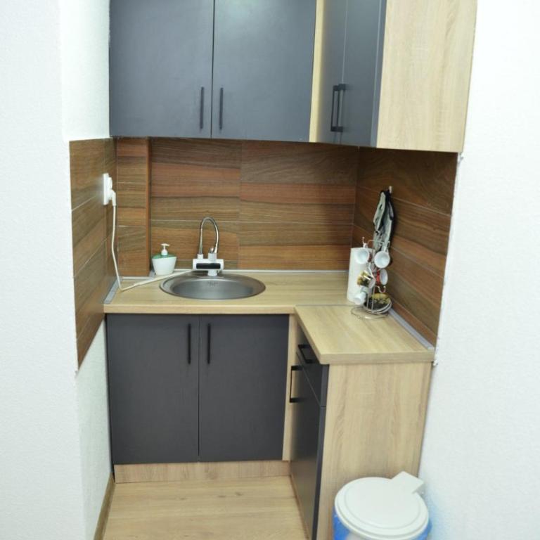 Apartmani Moskva - Apartman sa 1 Spavaćom Sobom - 1