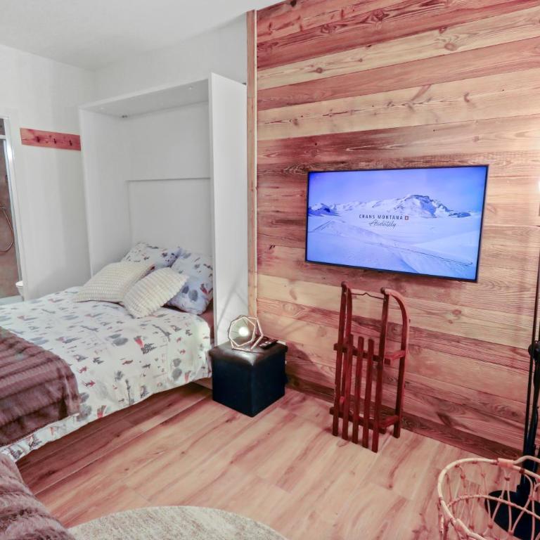 Studio rénové cosy et centré, Ski-In Ski-Out - Appartement 1 Chambre - 11