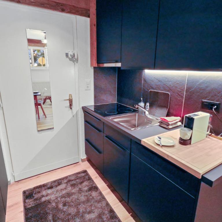 Studio rénové cosy et centré, Ski-In Ski-Out - Appartement 1 Chambre - 13
