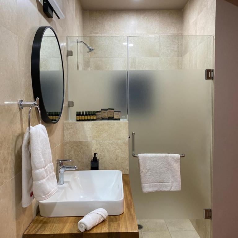 Suites Patio Antequera - Estudio Doble Deluxe - 6