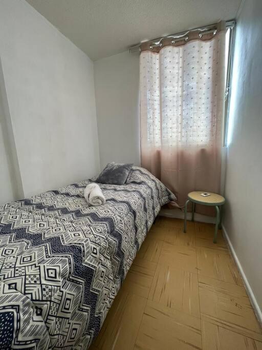 Departamento equipado 124 Ovalle - Apartamento de 3 dormitorios - 6