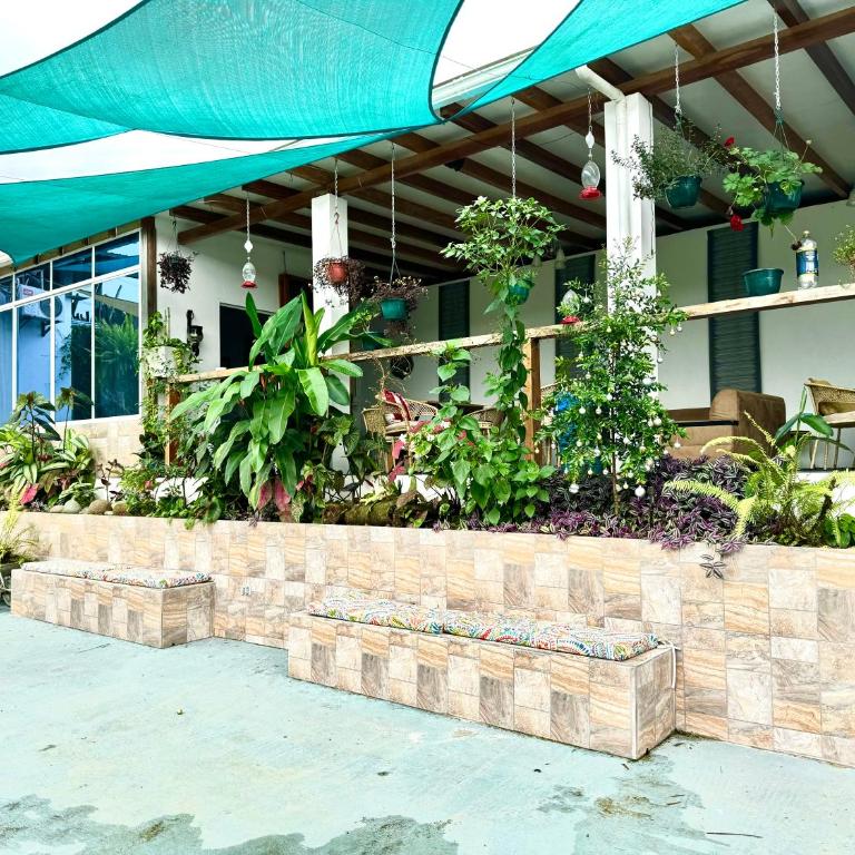 Suite Agua - The Garden House - Independiente, Piscina, BBQ, Jardín, Terraza, Pedro Vicente Maldonado - Casa con 1 dormitorio - 21