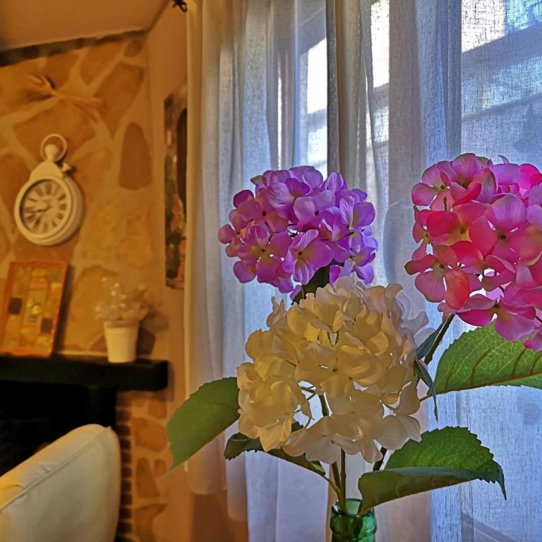 Alojamiento Martinez 1 - Apartment - 10