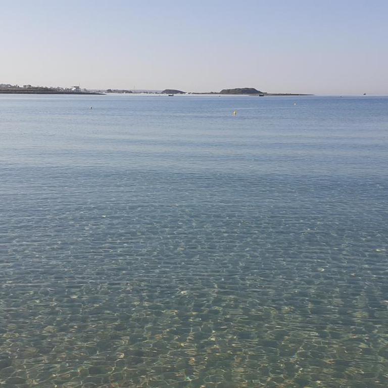 L' Isola di Bacco - Three-Bedroom House - 6