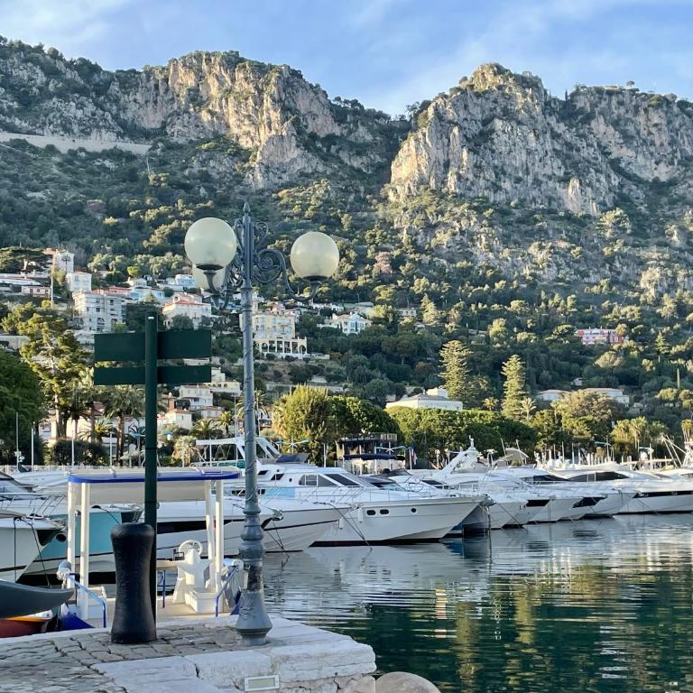 Luxury Top Floor Apartment with terrace - Beaulieu Sur Mer - Deluxe Studio - 9