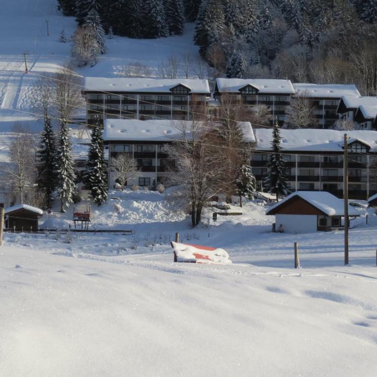 Ferienpark Oberallgäu - FeWo "Klatschmohn" Hallenbad & Sauna & WLAN - One-Bedroom Apartment - 61