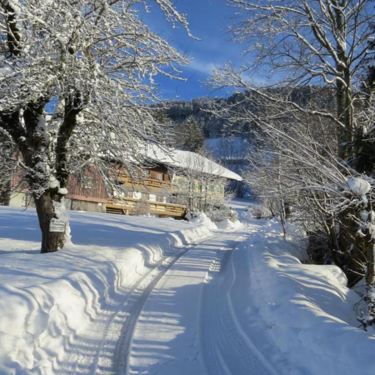 Ferienpark Oberallgäu - FeWo "Klatschmohn" Hallenbad & Sauna & WLAN - One-Bedroom Apartment - 68