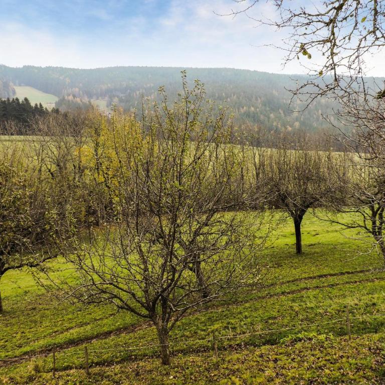 Liebevolles Ferienhaus - Ferienhaus mit 2 Schlafzimmern - 5