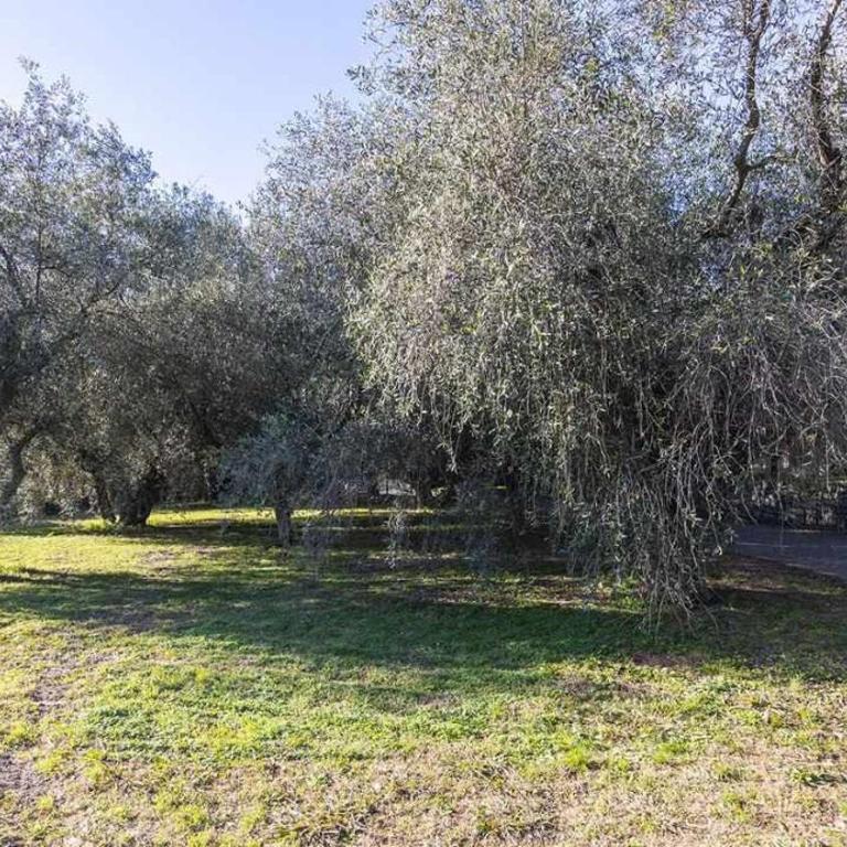 idromassaggio 5 stelle 3 bed Barbecue Parking - Villa de 1 dormitorio - 33