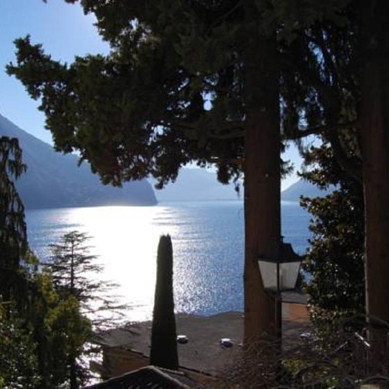 Giardino Violetta - Appartamento Suite Luxury con Vista Lago e Giardino con Palme - 1