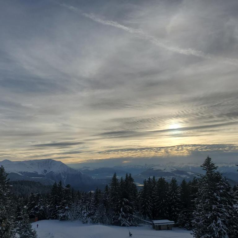 Le cocon de Néo Chamrousse 1700 - Apartamento de 1 dormitorio - 11