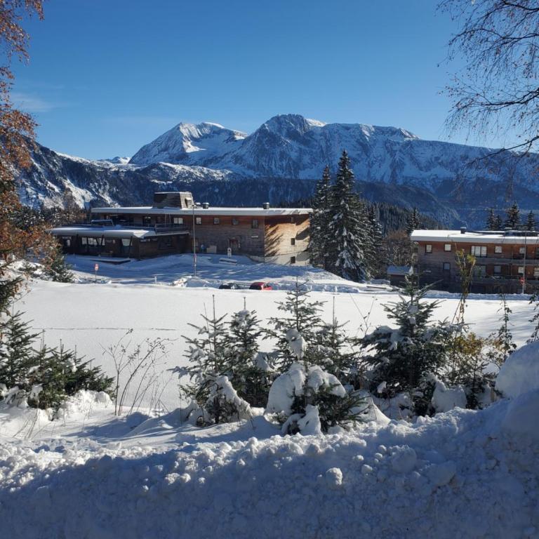 Le cocon de Néo Chamrousse 1700 - Apartamento de 1 dormitorio - 12