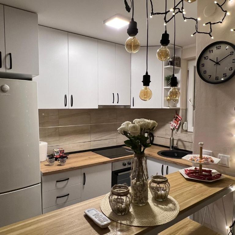 Aero Fly apartment Belgrade - Apartman sa 1 Spavaćom Sobom - 3