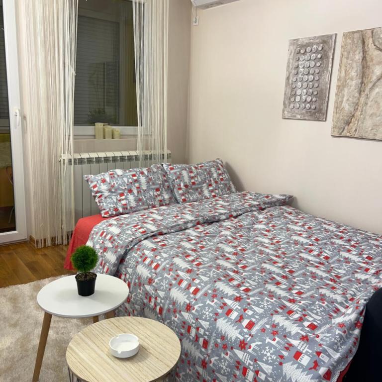 Aero Fly apartment Belgrade - Apartman sa 1 Spavaćom Sobom - 4
