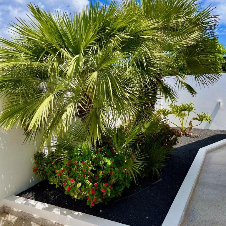 Villa del Mar Lanzarote - Luxury Beachhouse - Villa - 72