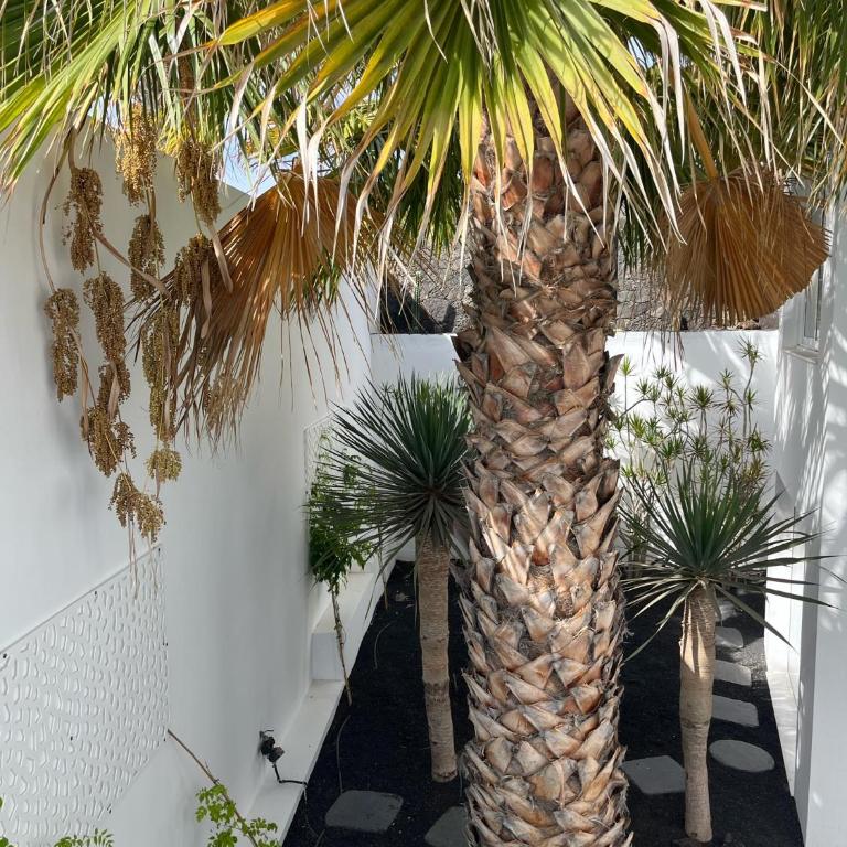 Villa del Mar Lanzarote - Luxury Beachhouse - Villa - 70