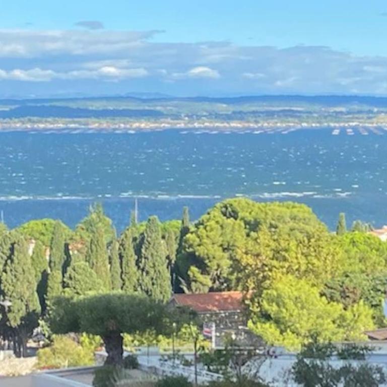 1,5 km plages Bel appartement calme Piscine Garage - Appartement avec Terrasse - 4