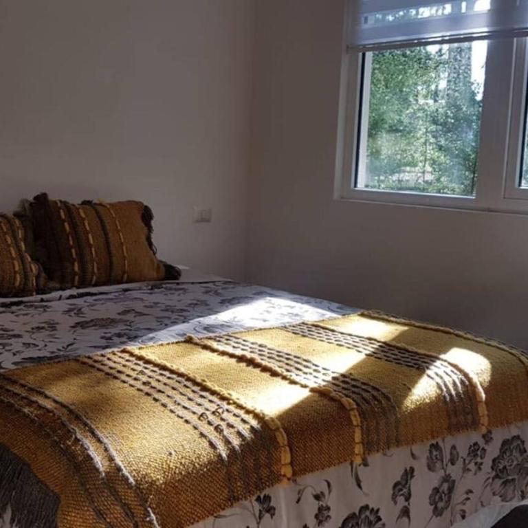 Departamento en la Naturaleza de Pucon Camino al Volcán - Apartamento de 1 dormitorio - 8