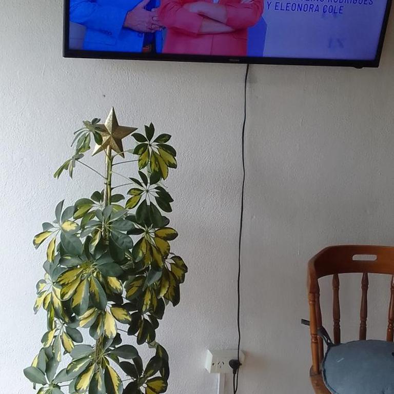 Aonik'en - Apartamento de 2 dormitorios - 2