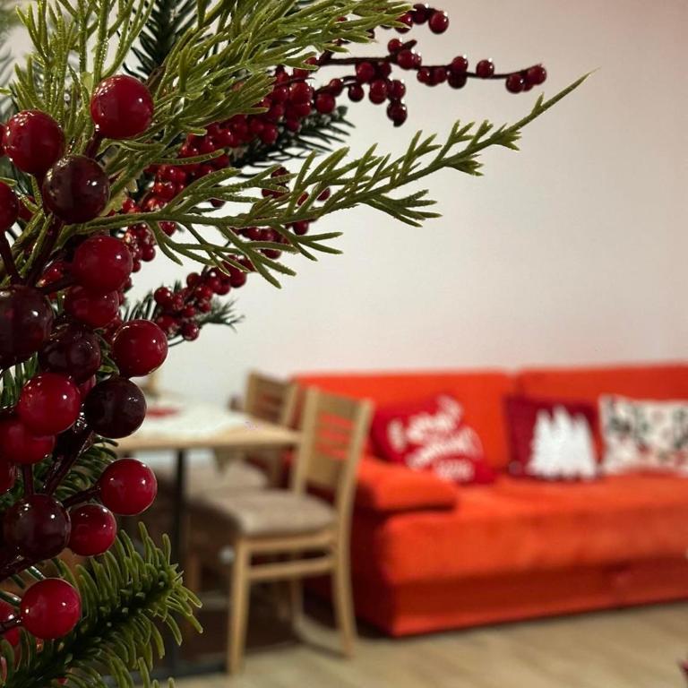 Silver Pine Kopaonik - Apartman sa 1 Spavaćom Sobom - 6