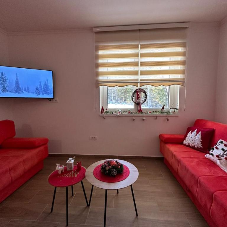 Silver Pine Kopaonik - Apartman sa 1 Spavaćom Sobom - 4