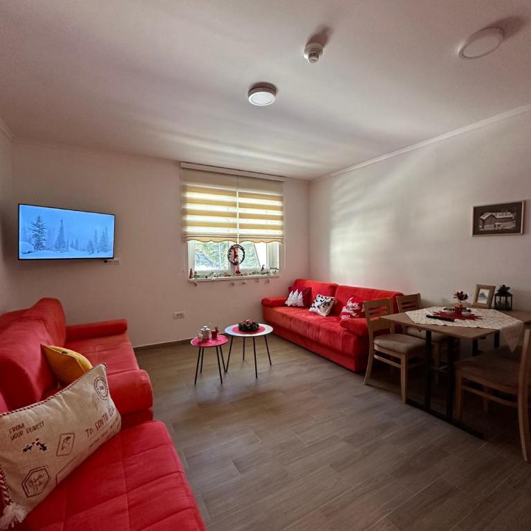 Silver Pine Kopaonik - Apartman sa 1 Spavaćom Sobom - 5