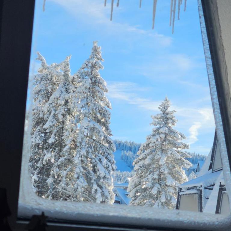 Silver Pine Kopaonik - Apartman sa 1 Spavaćom Sobom - 28