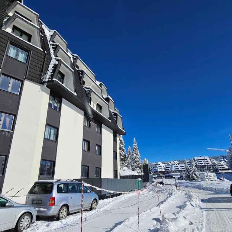 Silver Pine Kopaonik - Apartman sa 1 Spavaćom Sobom - 35
