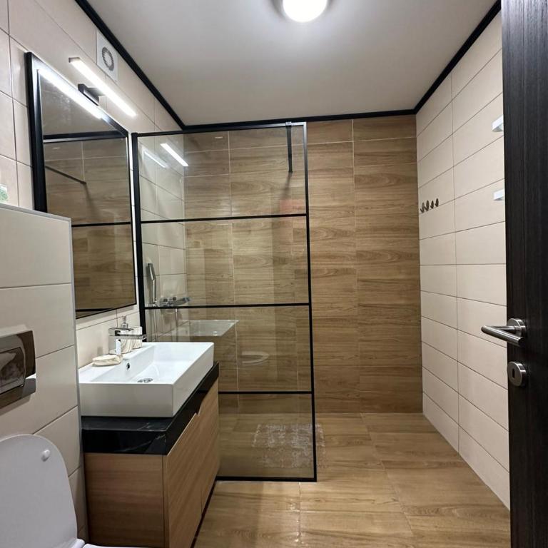 Silver Pine Kopaonik - Apartman sa 1 Spavaćom Sobom - 31
