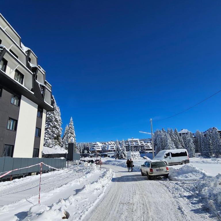 Silver Pine Kopaonik - Apartman sa 1 Spavaćom Sobom - 37