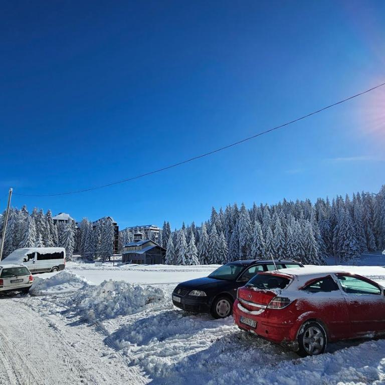 Silver Pine Kopaonik - Apartman sa 1 Spavaćom Sobom - 39